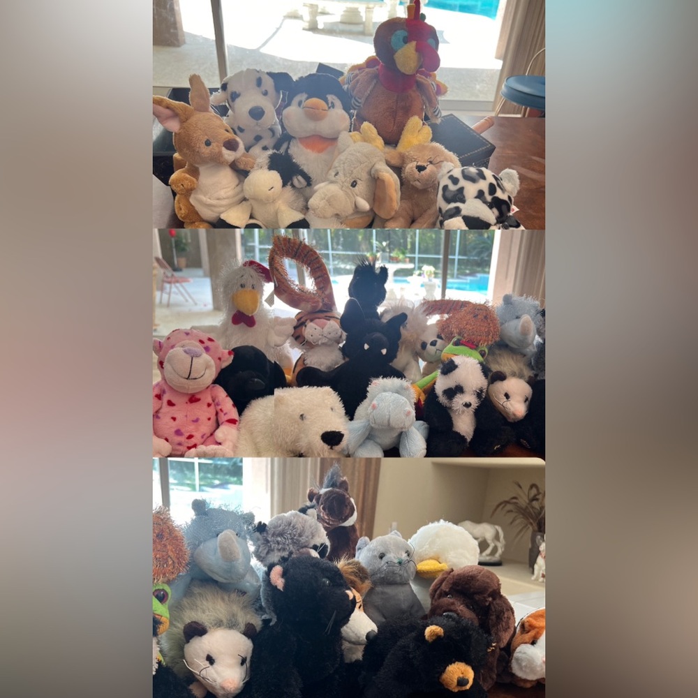 Webkinz Collection - Without Codes